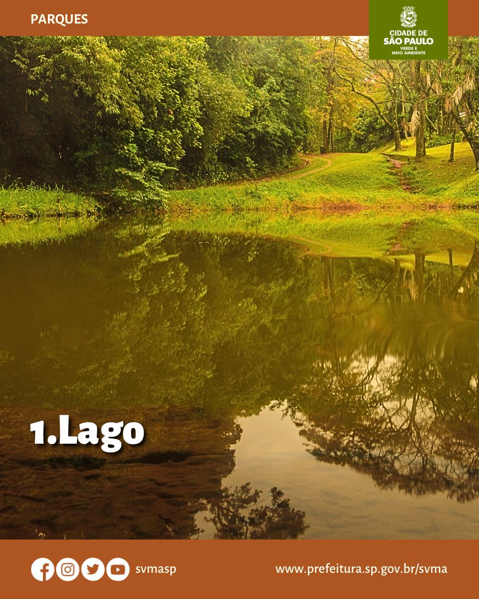 svmasp's tweet photo. Venha conhecer o Parque Vila dos Remédios!
Hoje, iremos apresentar quatro bons motivos para você visitar essa área verde, localizada na região oeste da cidade. Além da sua grande biodiversidade, a estrutura desse espaço conta com vários atrativos. Confira!
#svma #parquessp https://t.co/h7OsS0GyXE