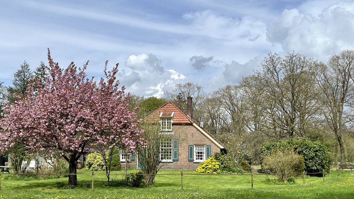 Wandelroute TT 🥾 @tragetochten Kranenburg #Vorden van @WolfsWandelplan 🗺️ <a href="/wandelzoek/">Wandelzoekpagina</a> wandelzoekpagina.nl/wandeling/trag… en #instagram instagram.com/p/CrYYoGCN--u/