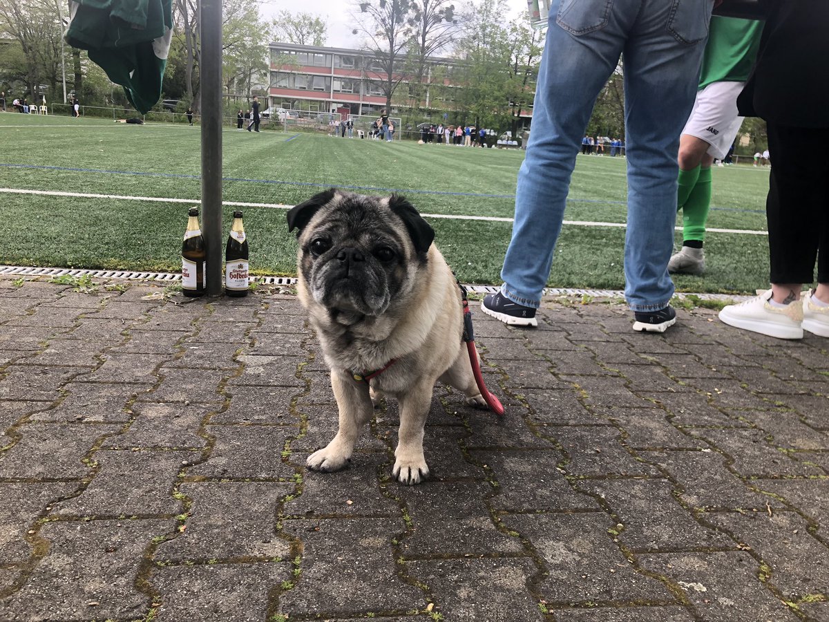 JangoandPablo's tweet photo. @sportplatzhunde Derbysieger SVPattonville gegen Grünbühl  - 5 Sterne Rote Wurstqualität 🐶👍😉 https://t.co/gd8UKFQoXO