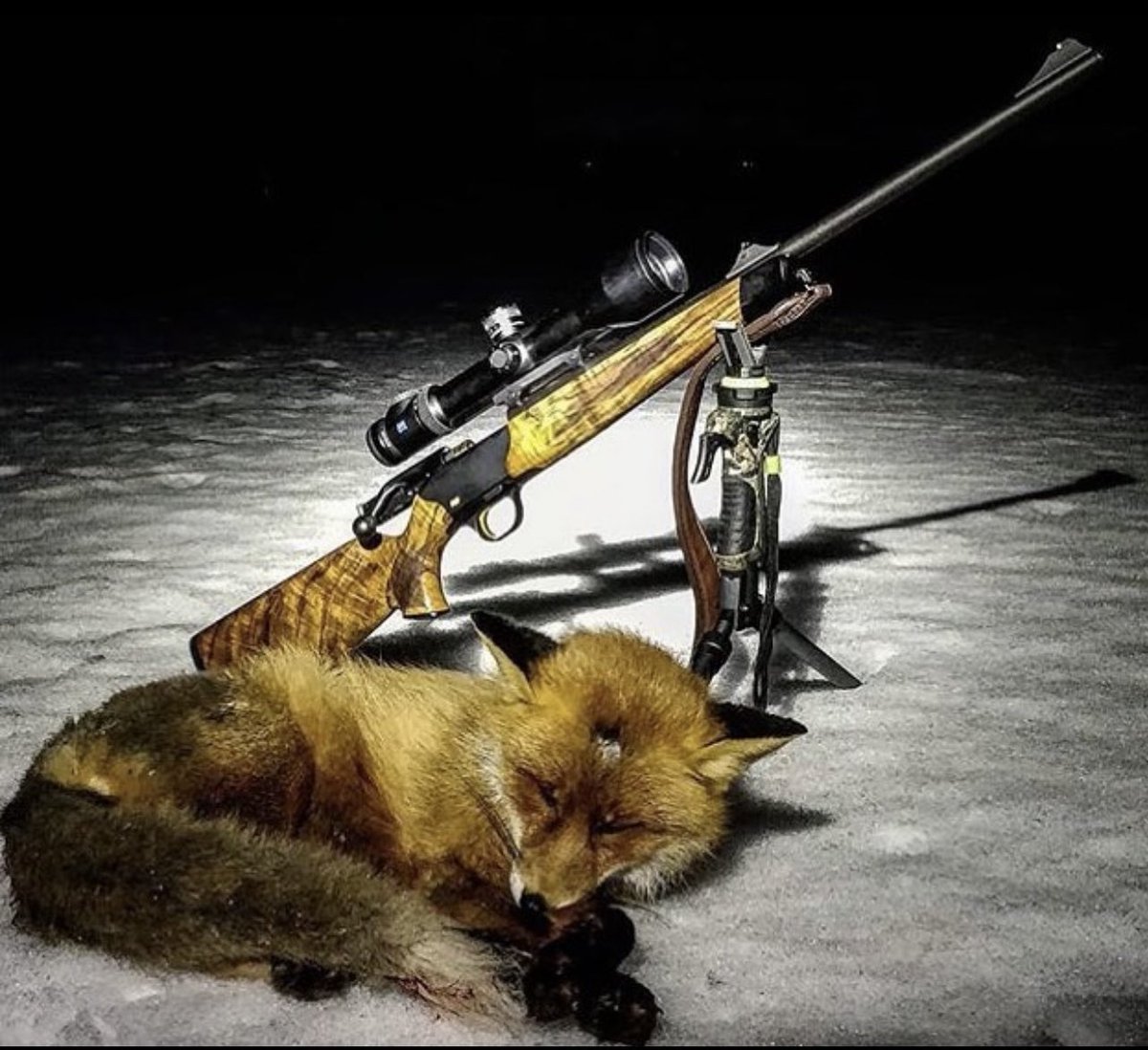 Blaser_USA's tweet image. Anyone down for some predator control?  #blaser #blaserusa #predatorcontrol