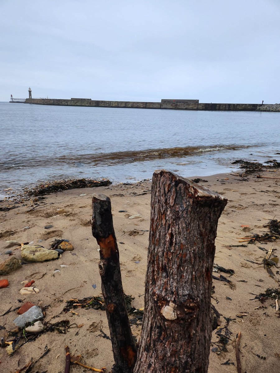 nikki green tweet media