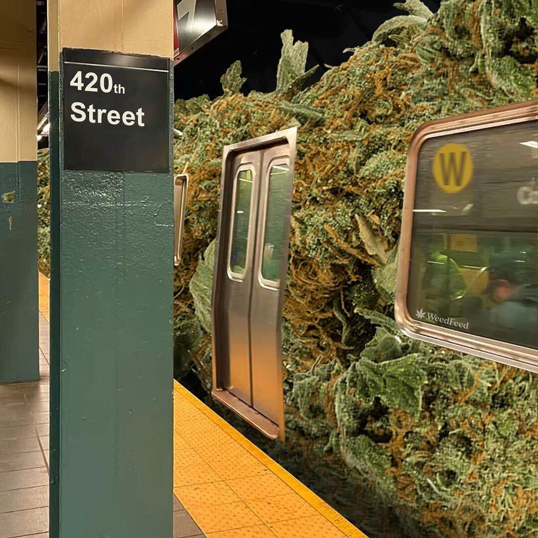 Herbworthy's tweet image. Let&apos;s go on a trip. 😇

via weedfeed