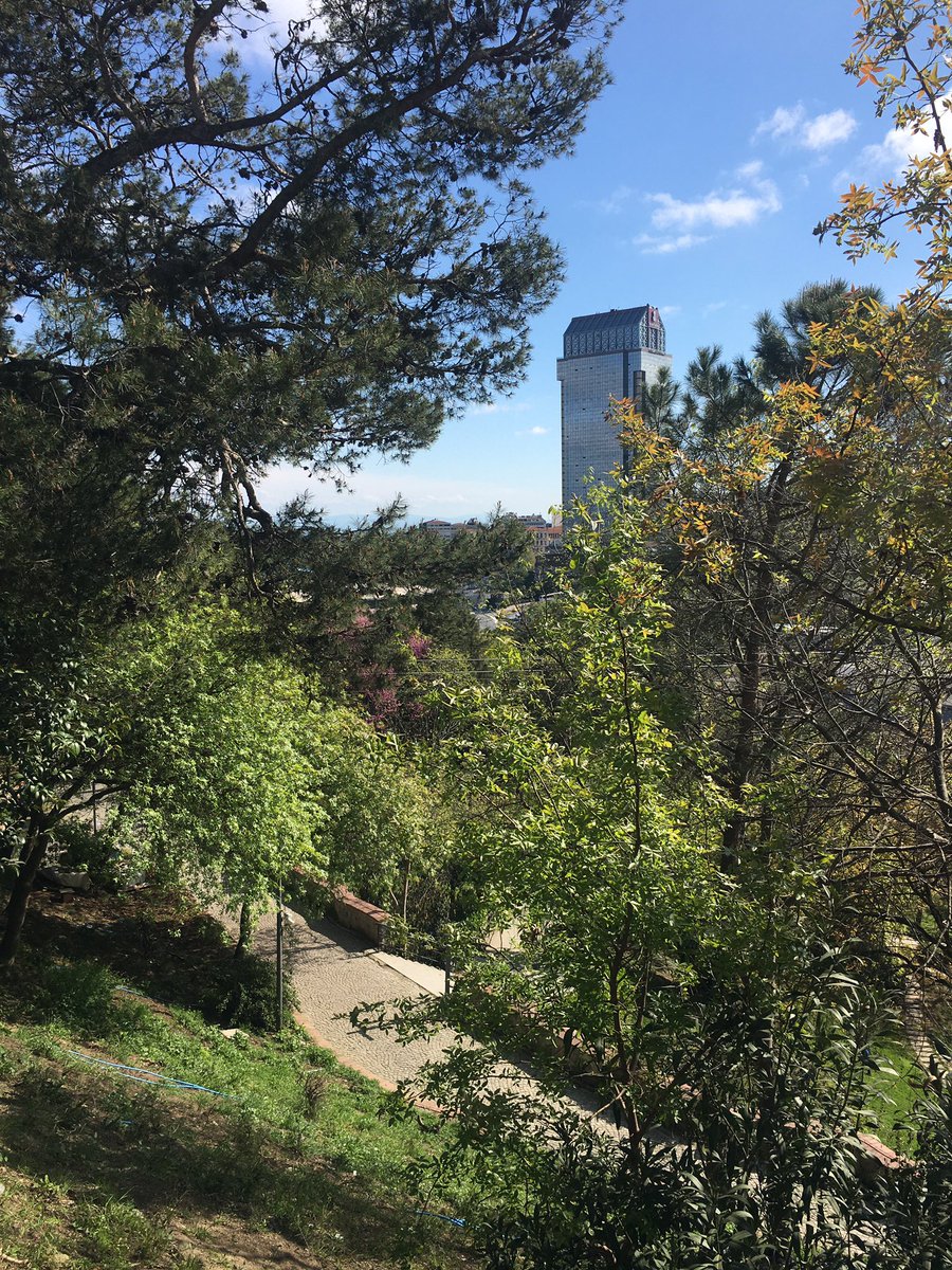 Bahara dair tüm detaylara hayranım. Renklerin, çiçeklerin, hayvanların, doğanın en uyumlu ve en taze hali.