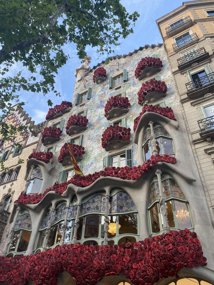 🌹🌹🌹🌹