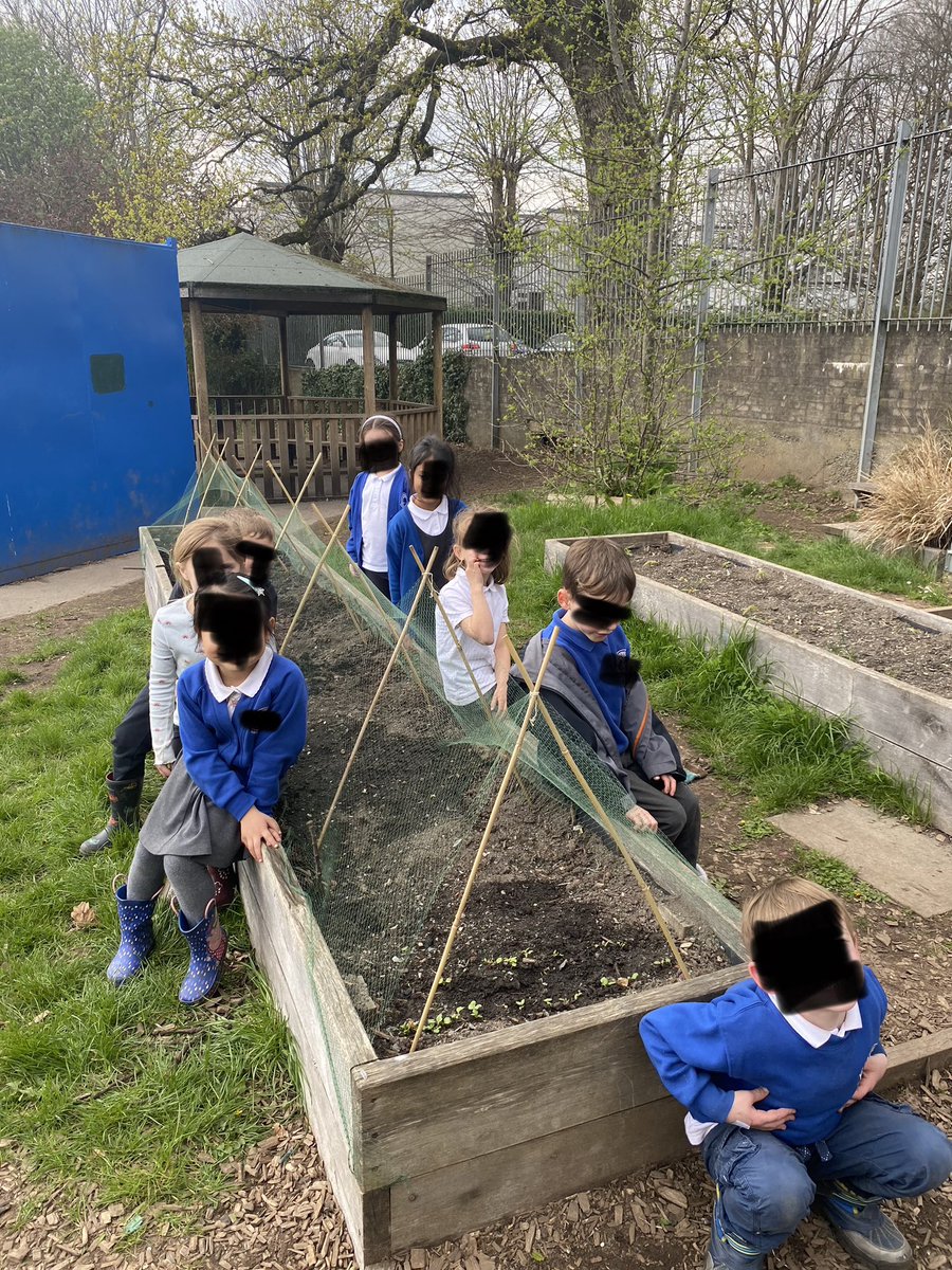 Miss Thomas tweet media