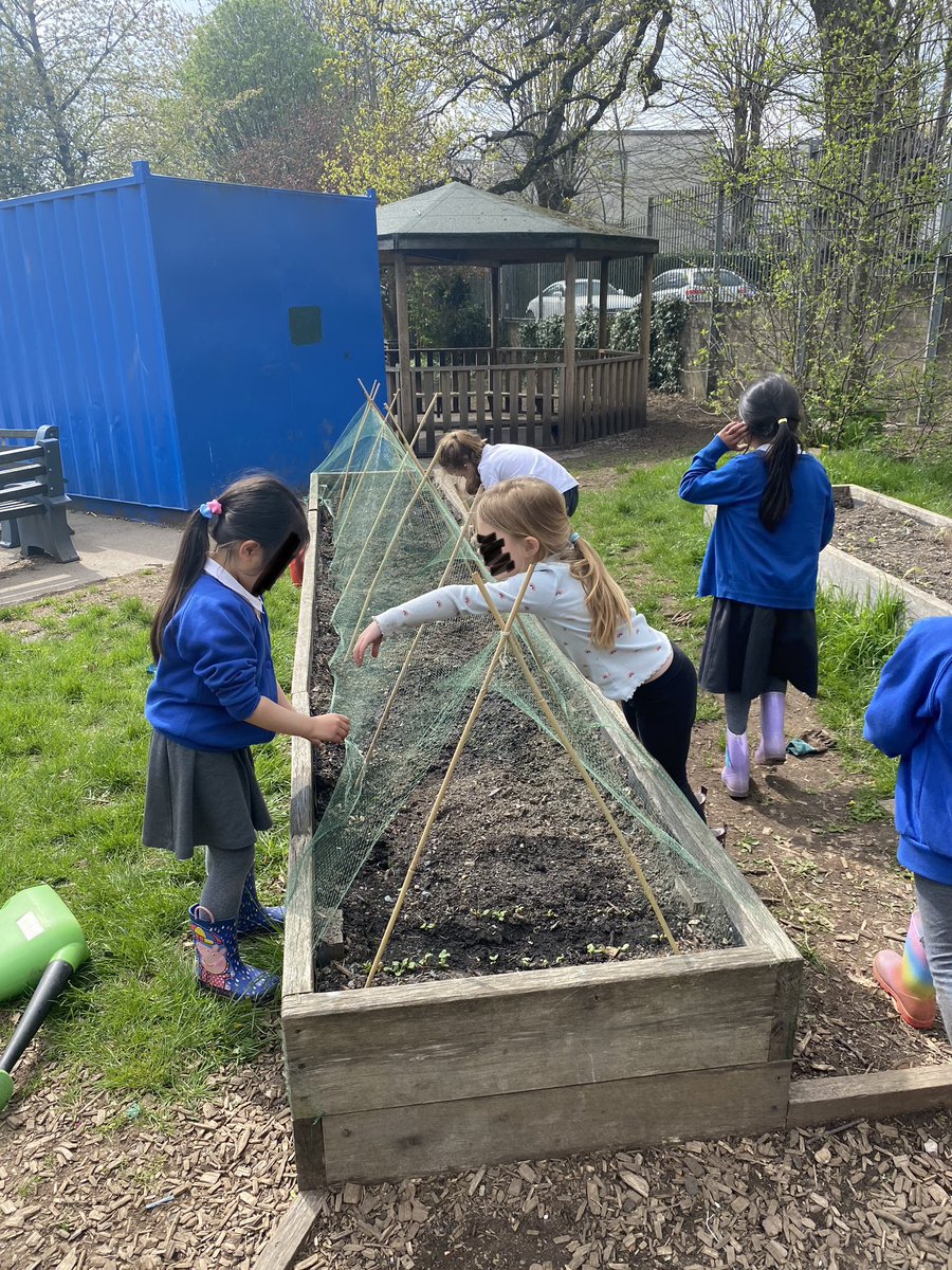 Miss Thomas tweet media