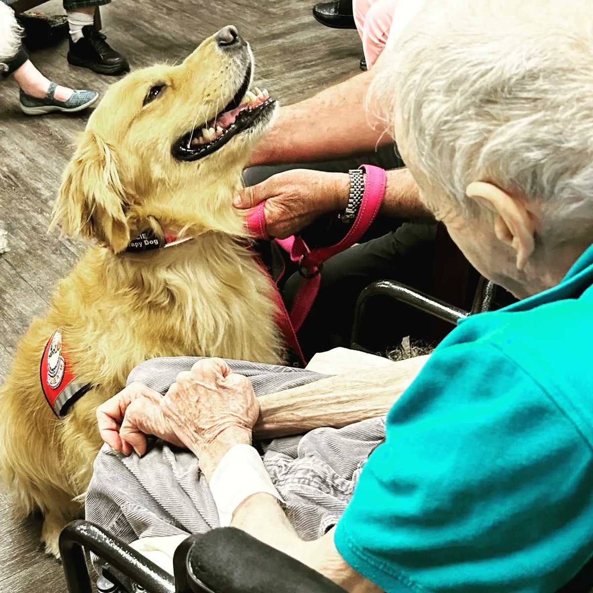 HappyTailsPetTherapy tweet media