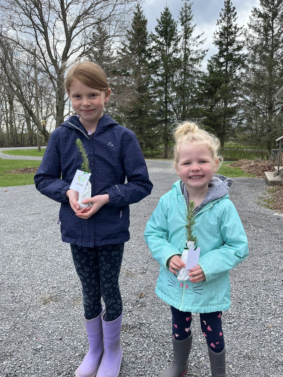 MsRochefort03's tweet photo. Planting our earth day trees today! Grade 4/5’s did you plant yours ? Thanks again @MaggieJSav and Doverhilll Tree Farm 🌲❤️🌍 https://t.co/Cg6vbOoRIT