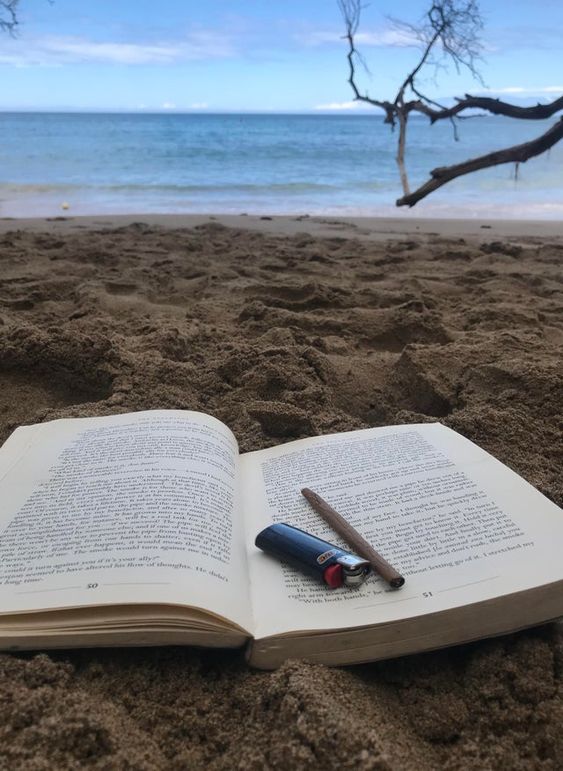Herbworthy's tweet photo. Five ways to smoke at the beach ☀️
Read: https://t.co/r2r4Tr69hR https://t.co/yt9ukGJDQA