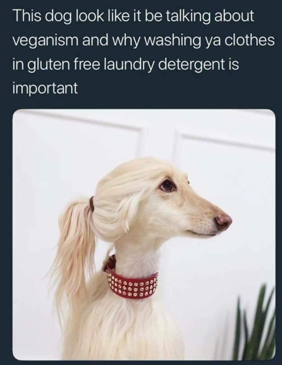 benzsweetpea's tweet photo. Had to. Not sorry. https://t.co/IV7yWRE7dG