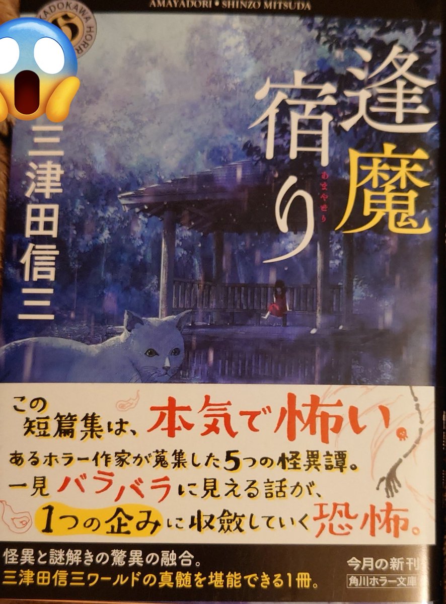 ホラーが怖い自分だけど結構読んだ。 最近読んだ大好きな さんの これまで読んだシリーズの中で最終巻が物凄く印象的だった さんの 表紙からして怖かった さんの これで さんにどっぷりハマった