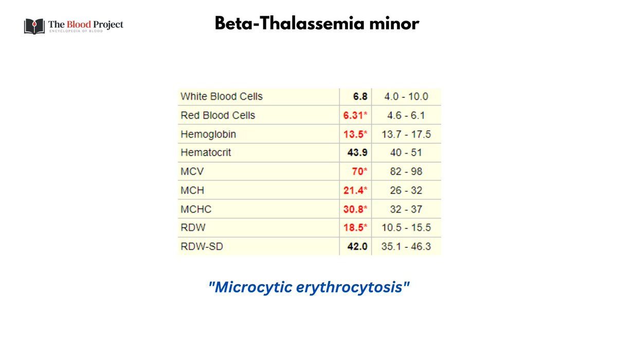 1 16 case question describe the cbc shown in the graphic in the fewest