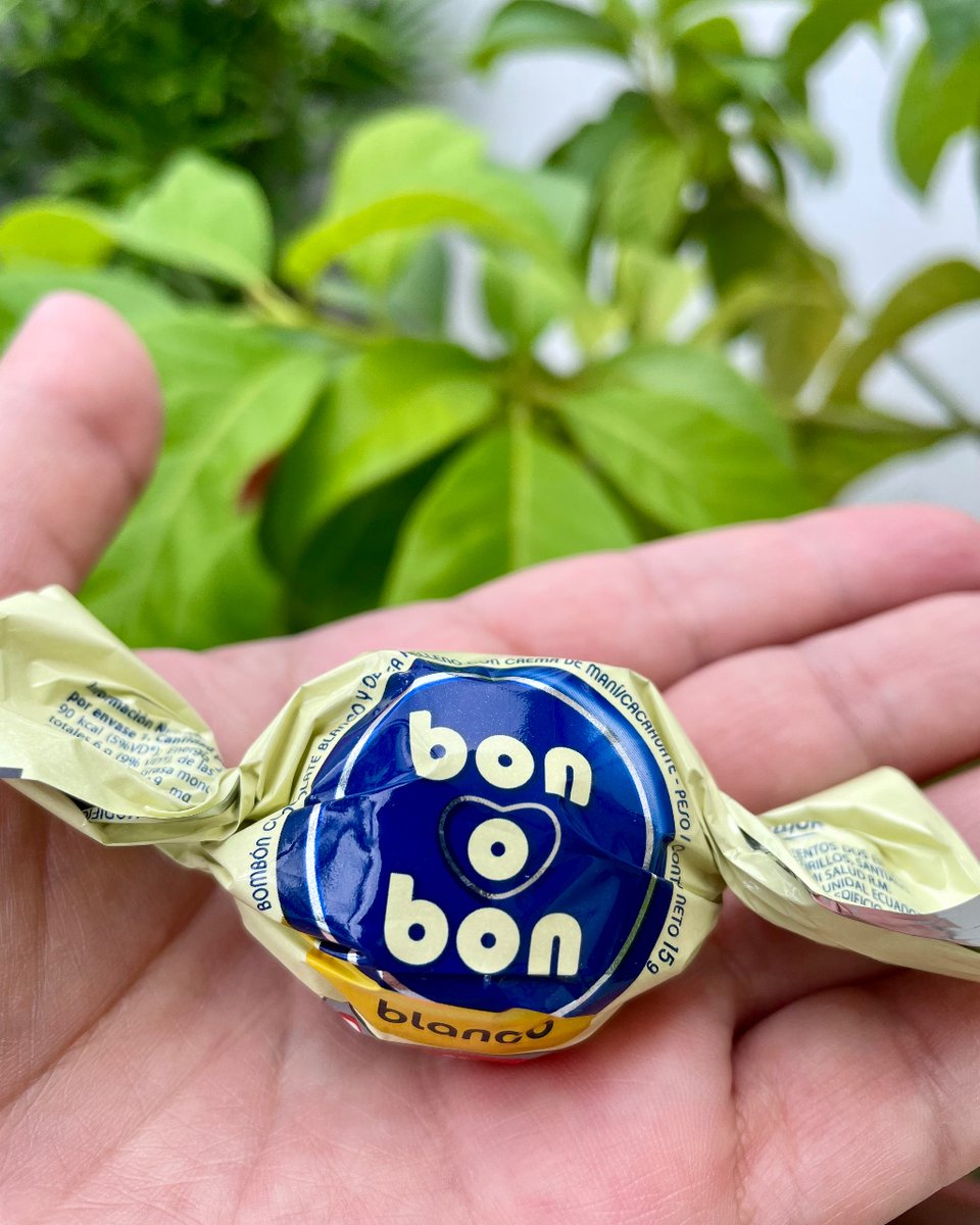En un momento como este, qué tal un #BonOBon blanco
#chocolateblanco #dulzura #antojo