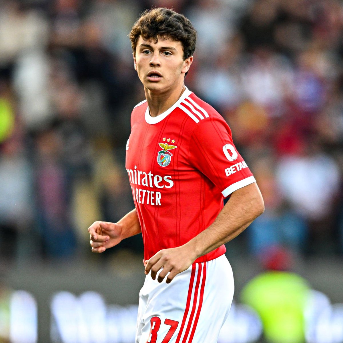 B24PT's tweet photo. João Neves é titular na equipa principal do Benfica pela primeira vez. https://t.co/8zjPtMMhVJ
