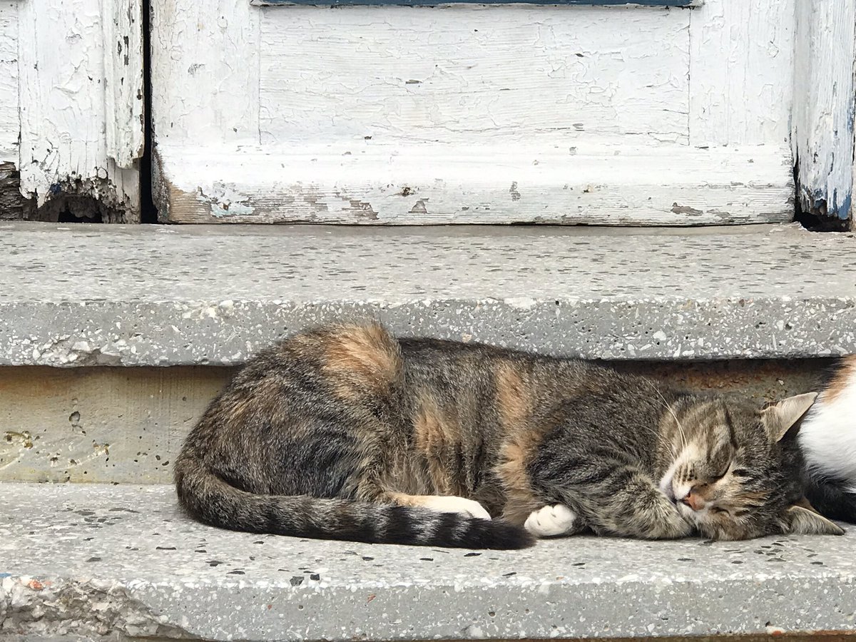 prenses gibi uyuyo…ikizimm