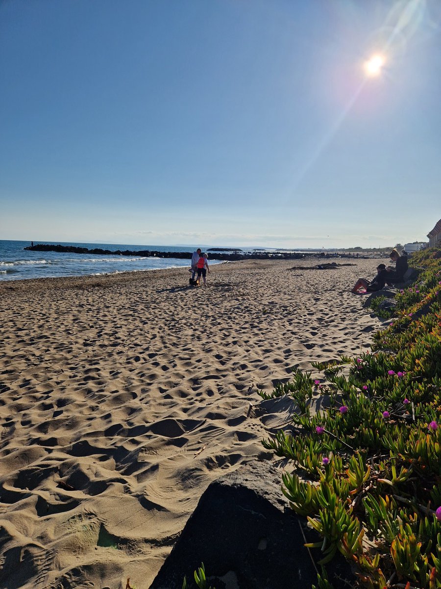 Bonjour du sud😉⛱️🌞👋👋