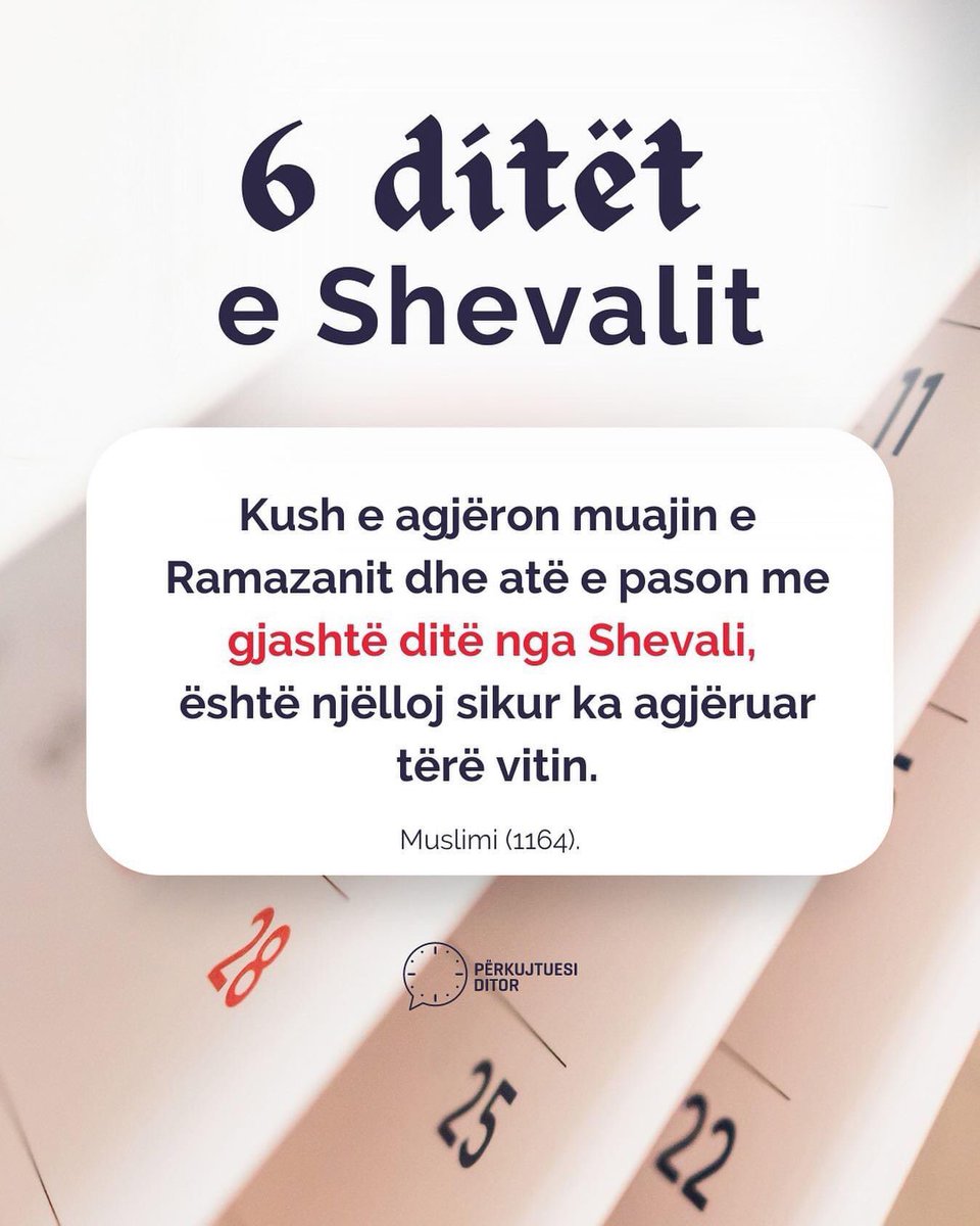 PerkujtuesiD's tweet photo. https://t.co/UvwztXoE7X