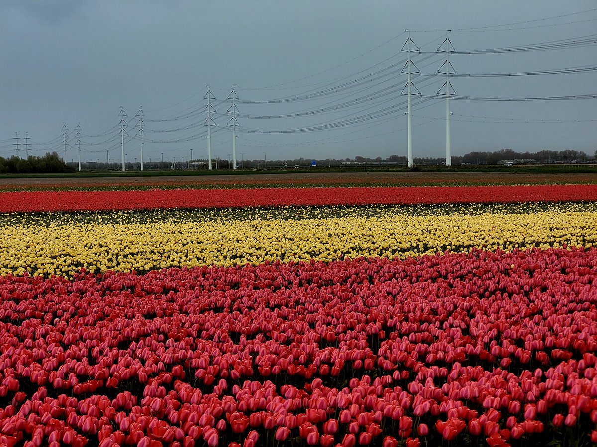 Det finns snygga kraftledningensstolpar. #elnät