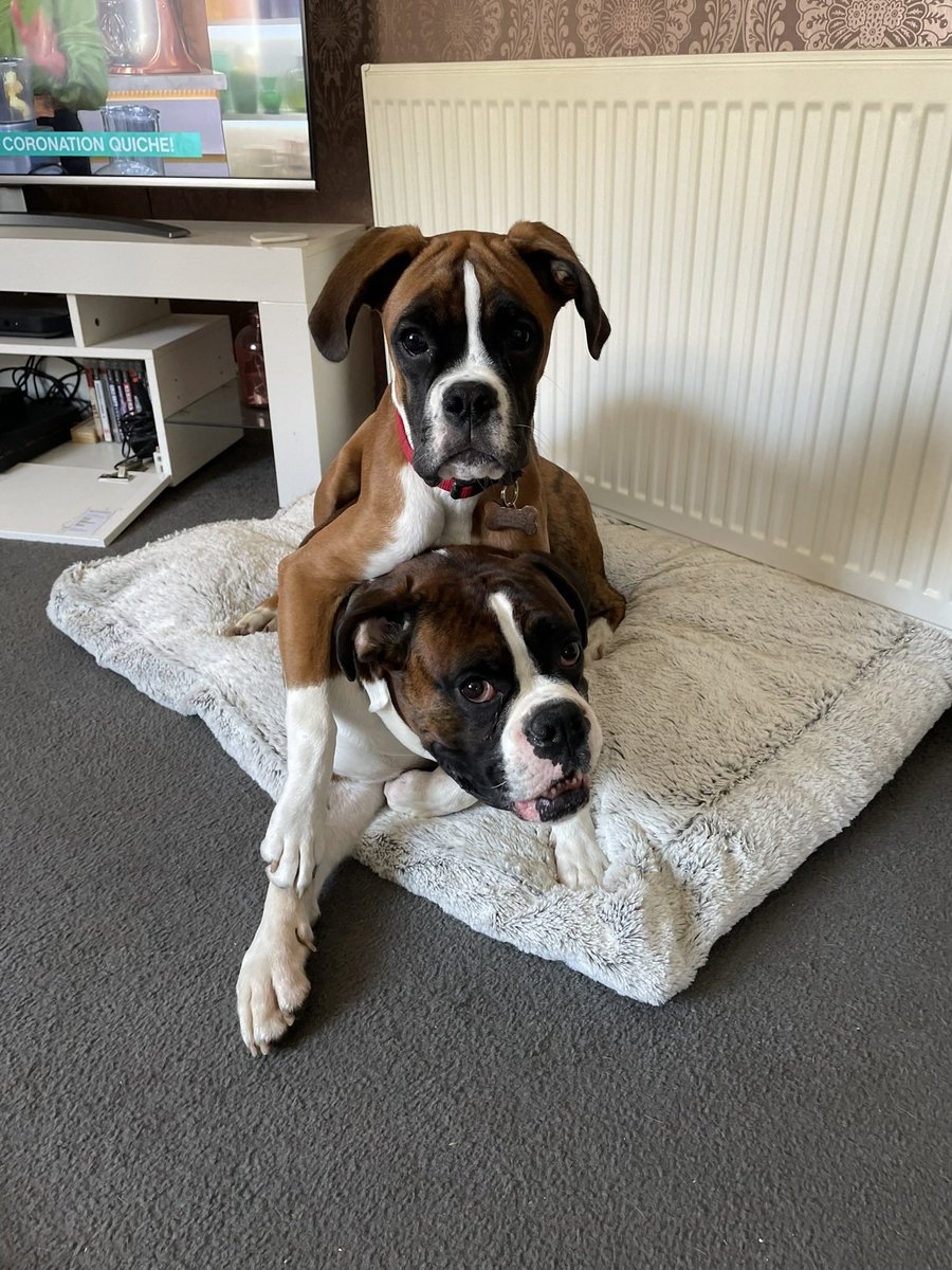 Tracey🍀💚 tweet media