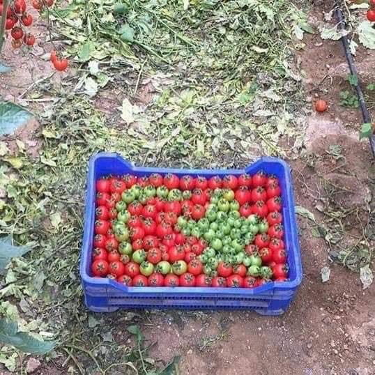 Hem yörük hem çiftçi çocuğu olunca böyle oluyor 
23 Nisan