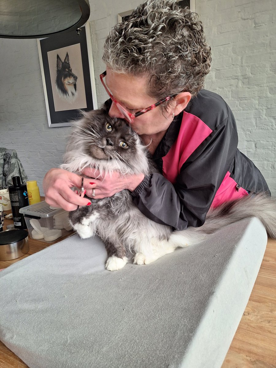 Pfff het groeien van mijn haar gaat zo hard.....
En dan die krullen die ik nooit heb gehad🤣🤣🤣
Weet ff niet hoe ik dat in model moet krijgen .
Is ff wennen 🤭🤪