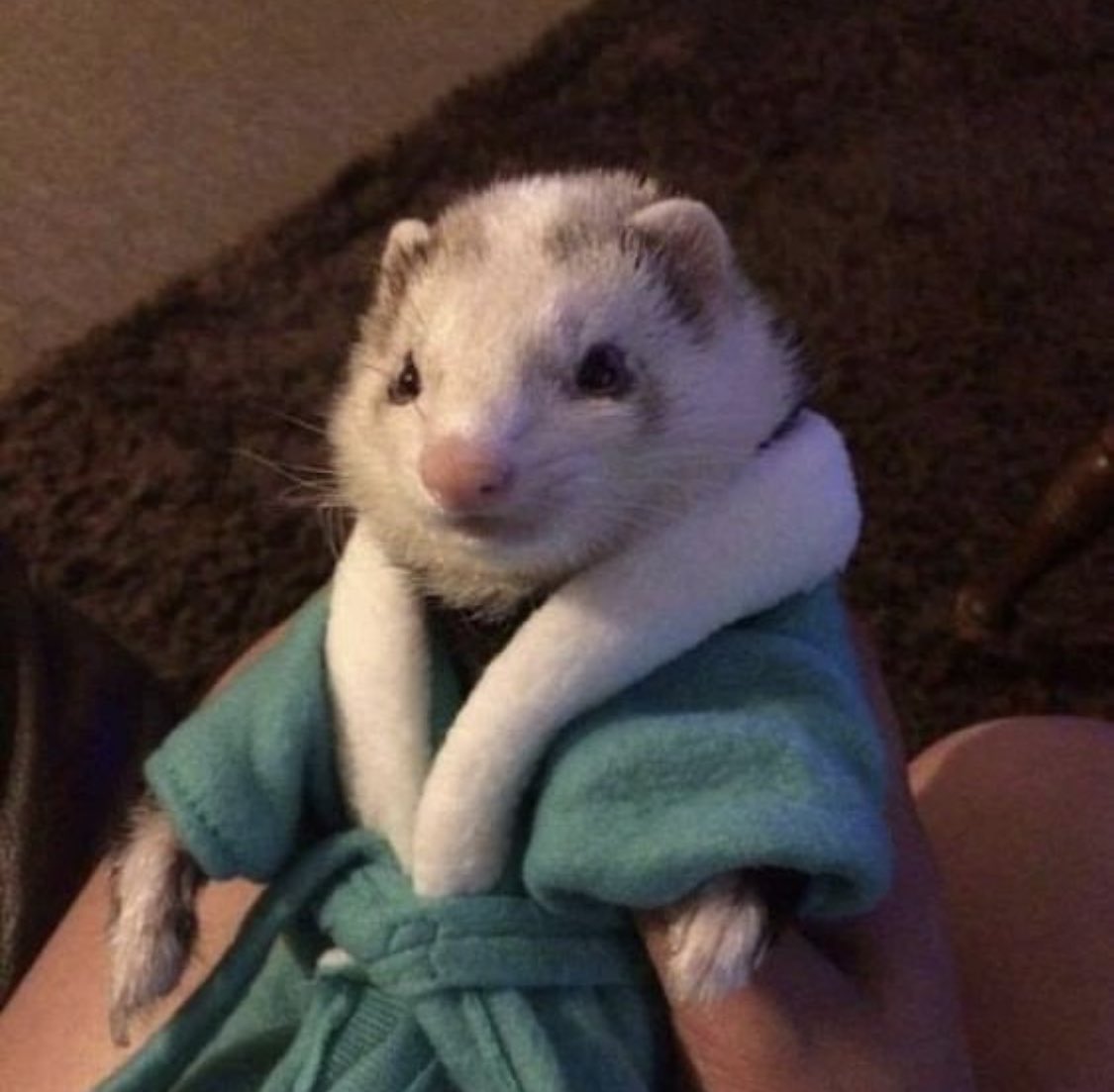 youngtiddy's tweet photo. this is me btw if u even care https://t.co/fpTmuAzgTr