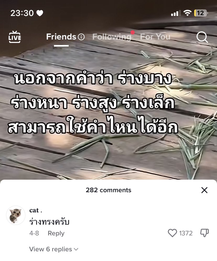 แล้วมาเห็นอะไรตอนนี้ นั่งขำไม่หลับไม่นอน  🤣