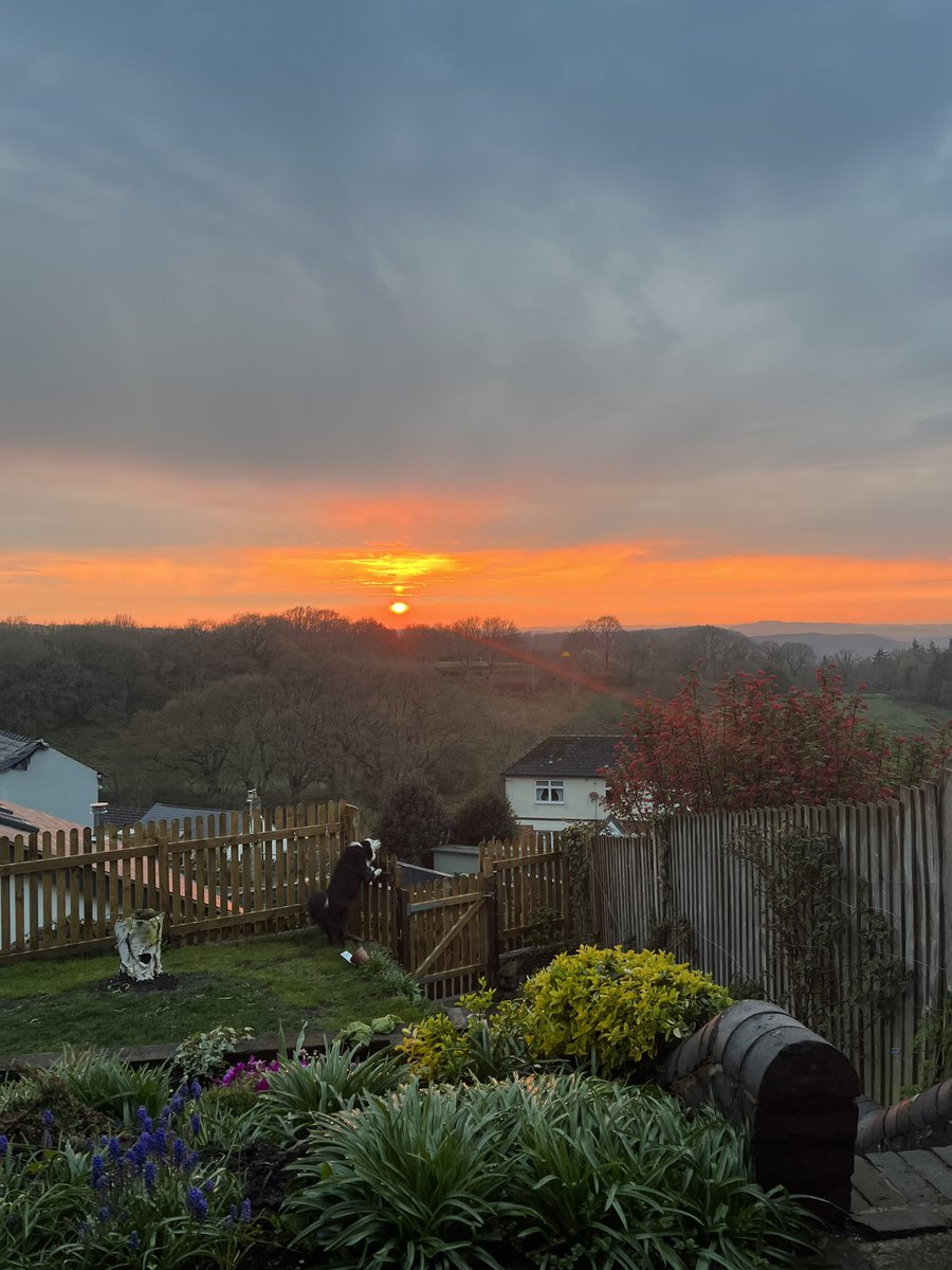 Tracy Clark (@tracyclarkyg) on Twitter photo 