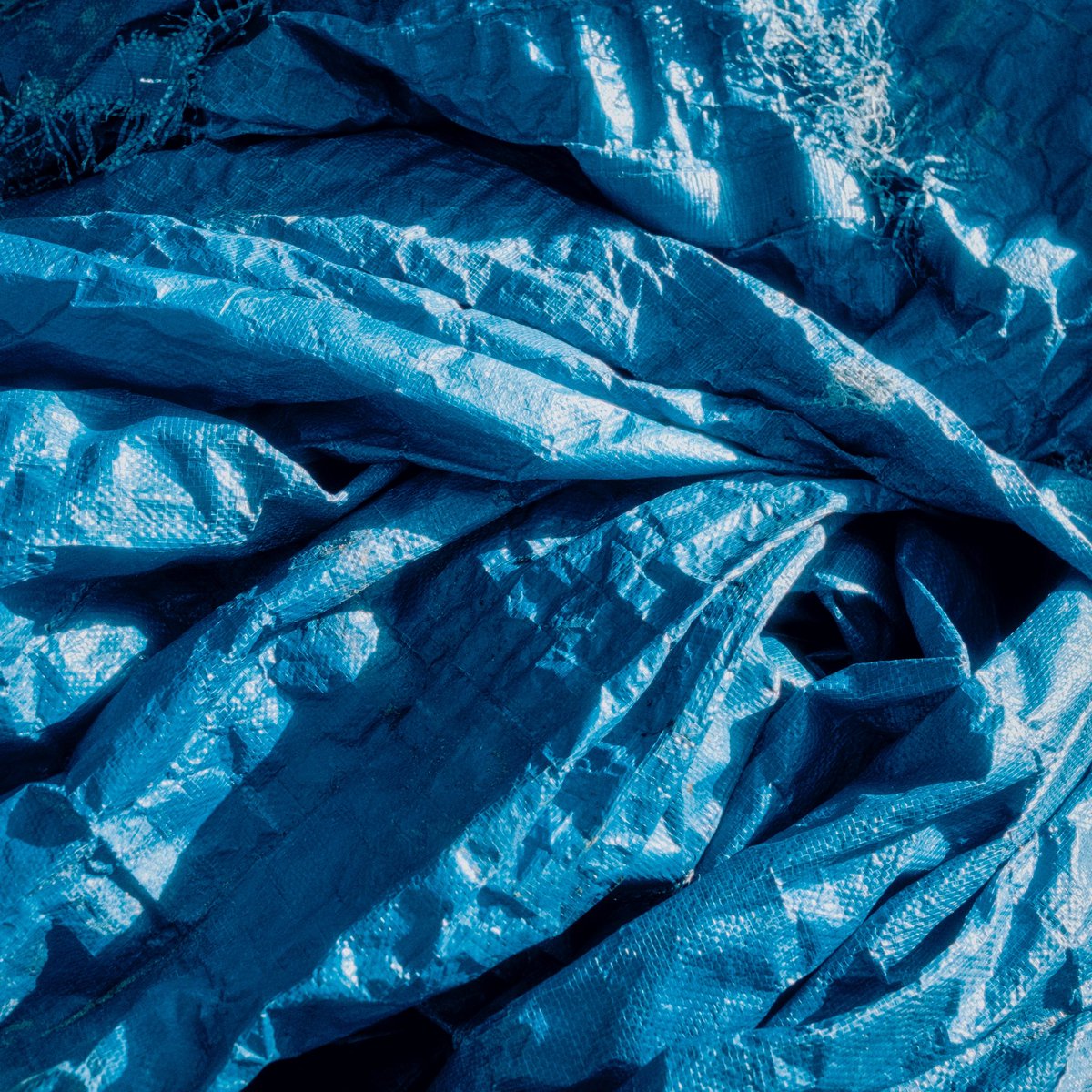 2dbert's tweet image. Some recent work I absolutely love