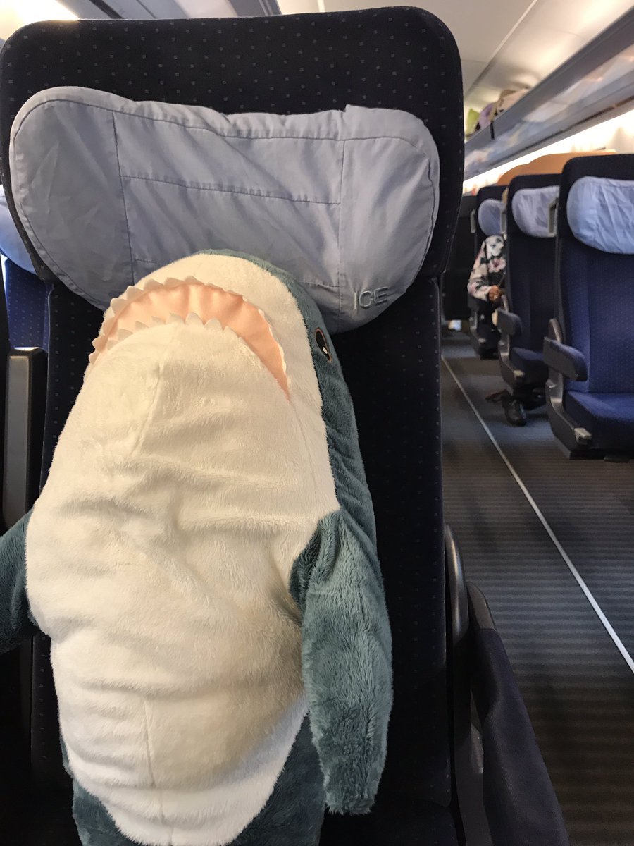 LucasSmhhh's tweet photo. @DB_Bahn Darf er hier Kostenlos mitfahren oder braucht er auch ein Ticket? https://t.co/TwnNLneAVV