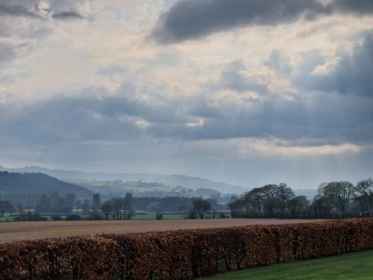 The sunshine is coming down the valley.

Let's hope the rain doesn't intercept it before it reaches us. 

#CamladValley #DaisyBank