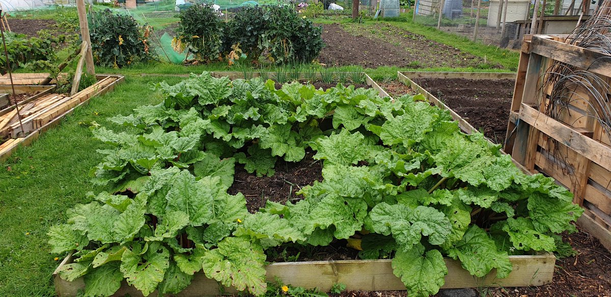 Plot16c2 tweet picture