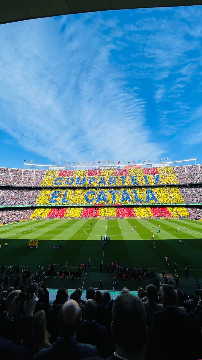 Feliç Sant Jordi 🤩