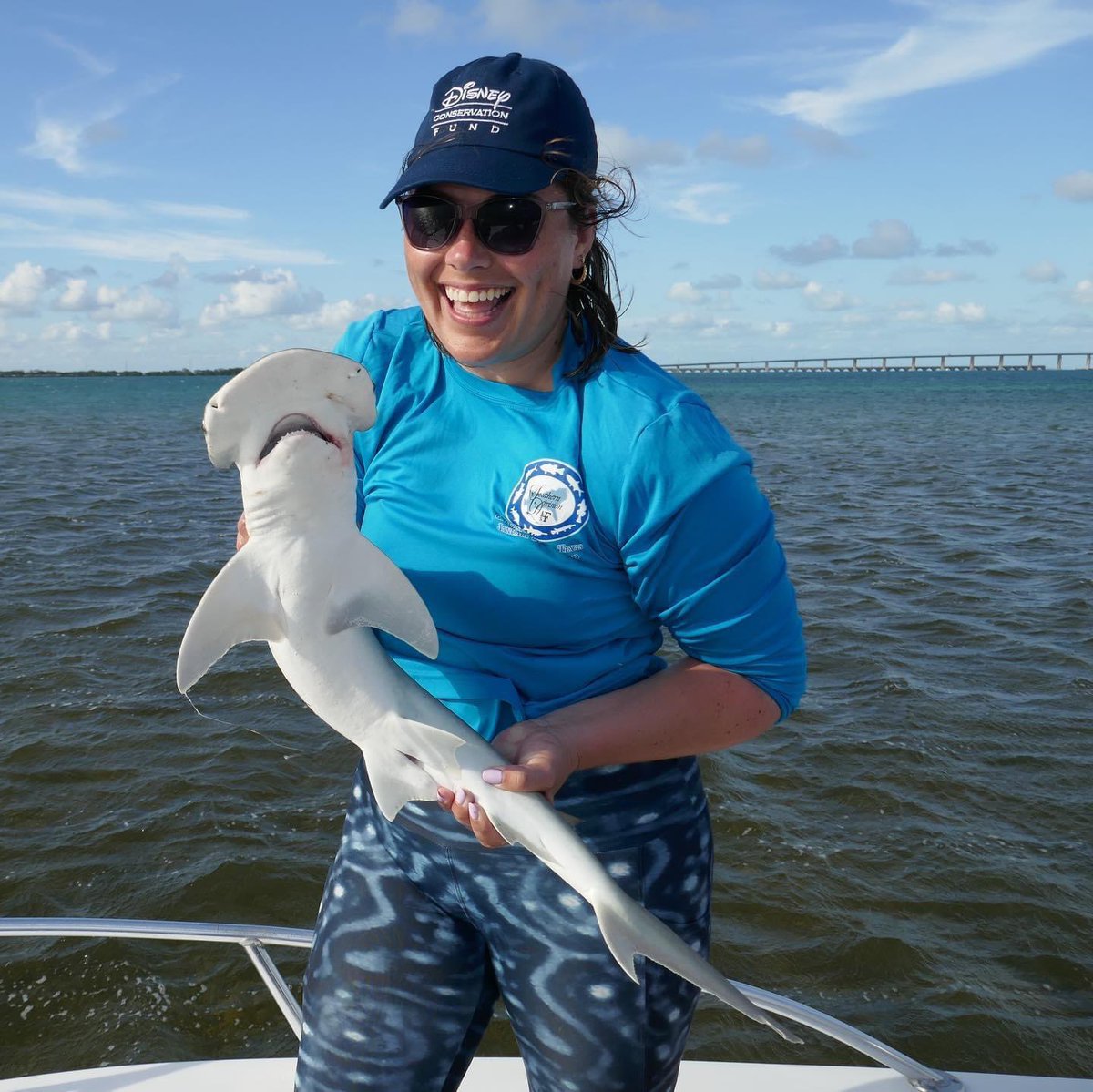 The bonnethead joy cannot be contained 💙🦈

Finally working on what was originally the third chapter of my dissertation turned NSF postdoc. We will be testing the cutest nose in the business - the bonnethead shark’s! 

All fish collections permitted by FWC SAL-22-1413A-SR