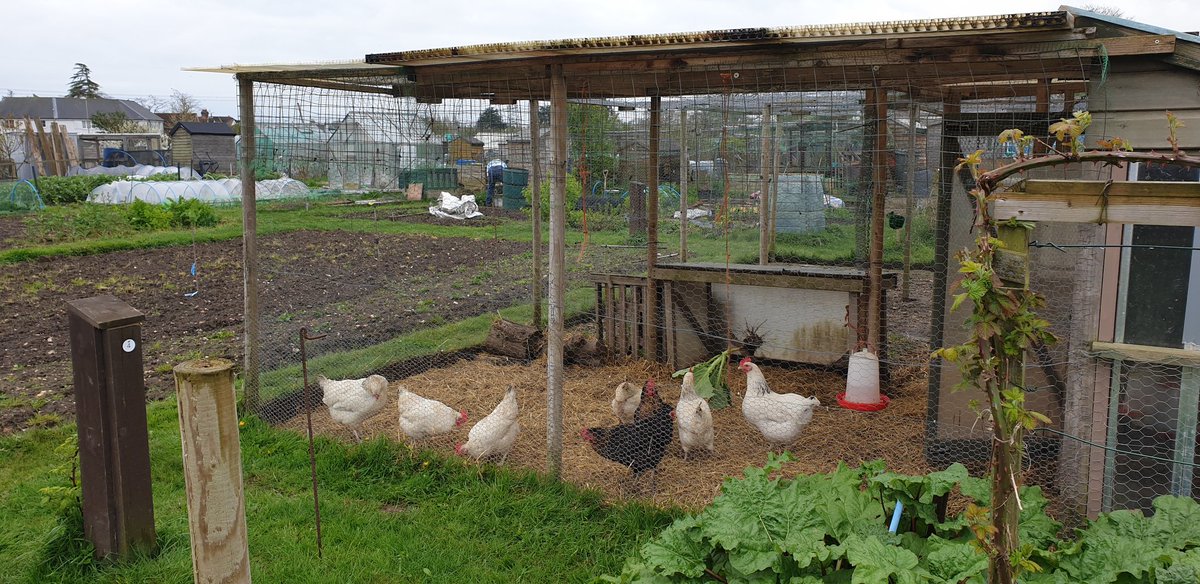 Plot16c2 tweet picture