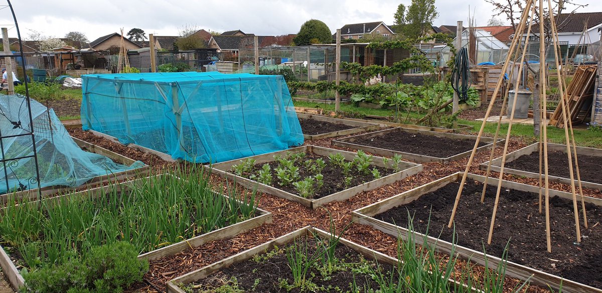 Plot16c2 tweet picture