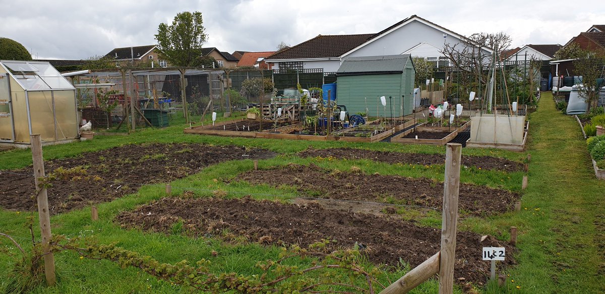 Plot16c2 tweet picture