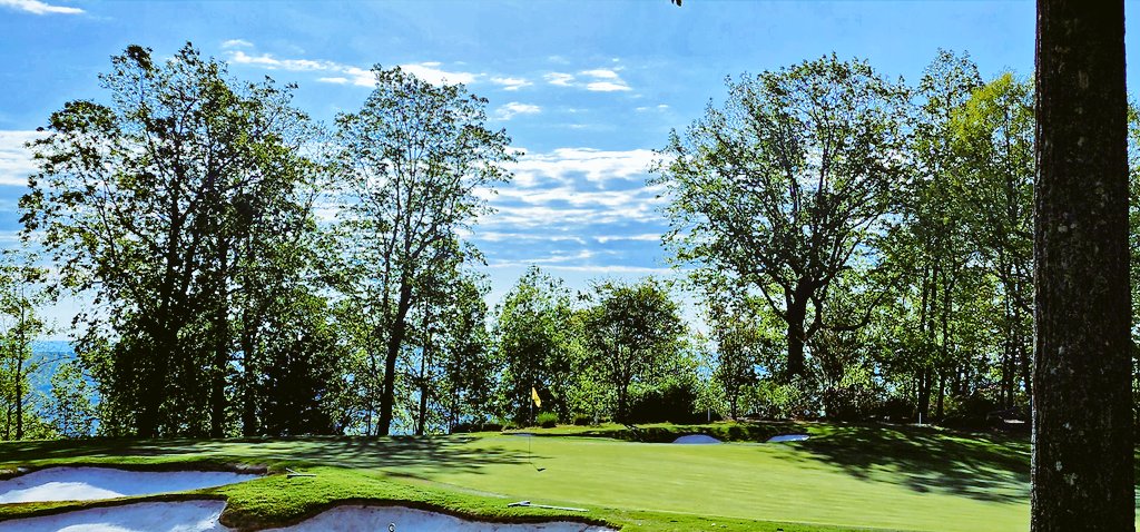 john reilly tweet media