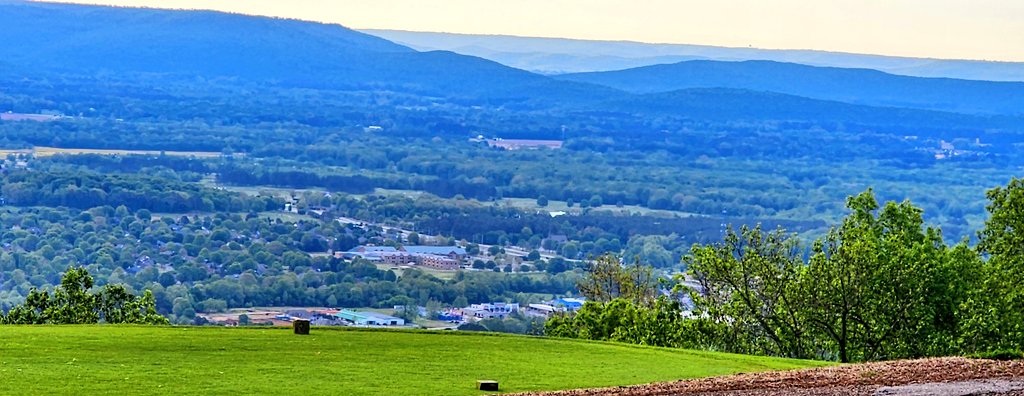 john reilly tweet media