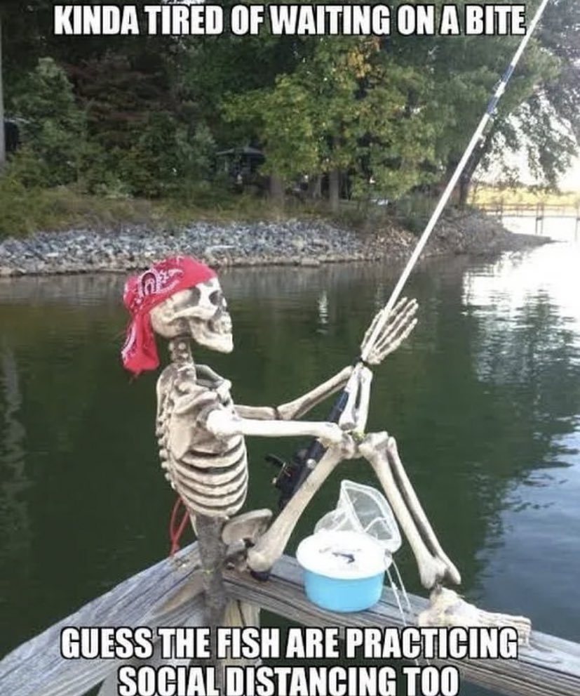 sandropacheco71's tweet image. I hate it when the #Fish #SocialDistance from me. #Fishing