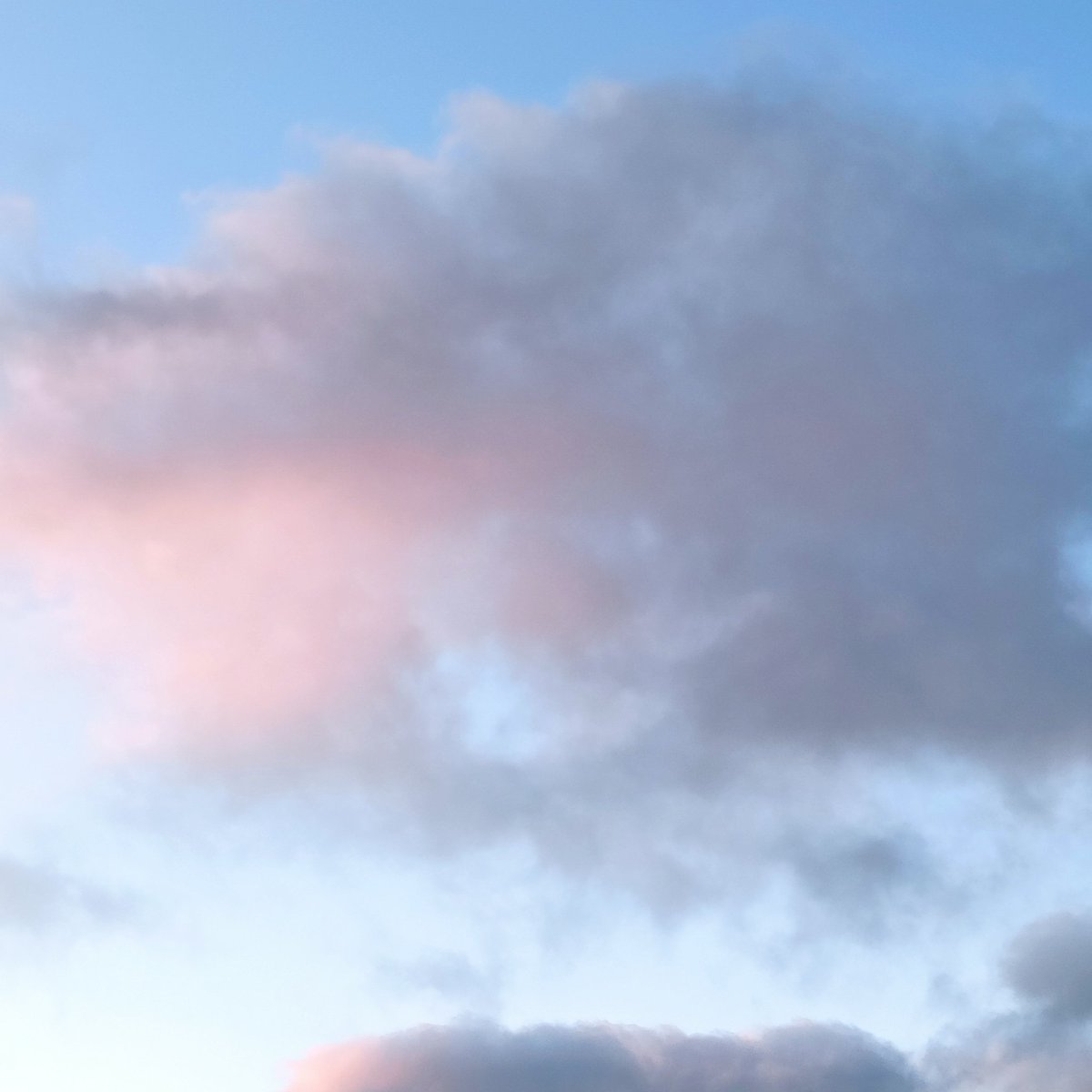 GorNevin's tweet photo. "Under the Red Cloud" Amorphis ❤️🖤🎼🤘#amorphis #undertheredcloud #music #müzik #metal #akşam #evening #gökyüzü #sky #istanbul #nisan #bahar #april #spring https://t.co/yZsCWbkNPW