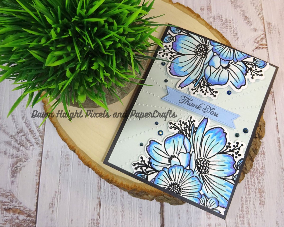 DMHaight's tweet photo. There are so many possibilities with the Bouquet stamp set: https://t.co/B3vTB6OUqj
#bouquet #ctmh #pixelsandpapercrafts https://t.co/RZ9zq3Xmhx
