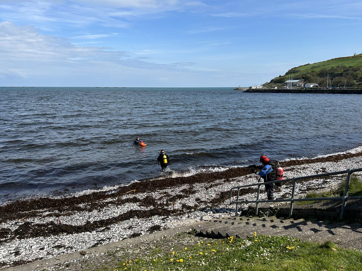 Seasearch NI tweet media