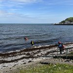Photo by Seasearch NI (@SeasearchNI)