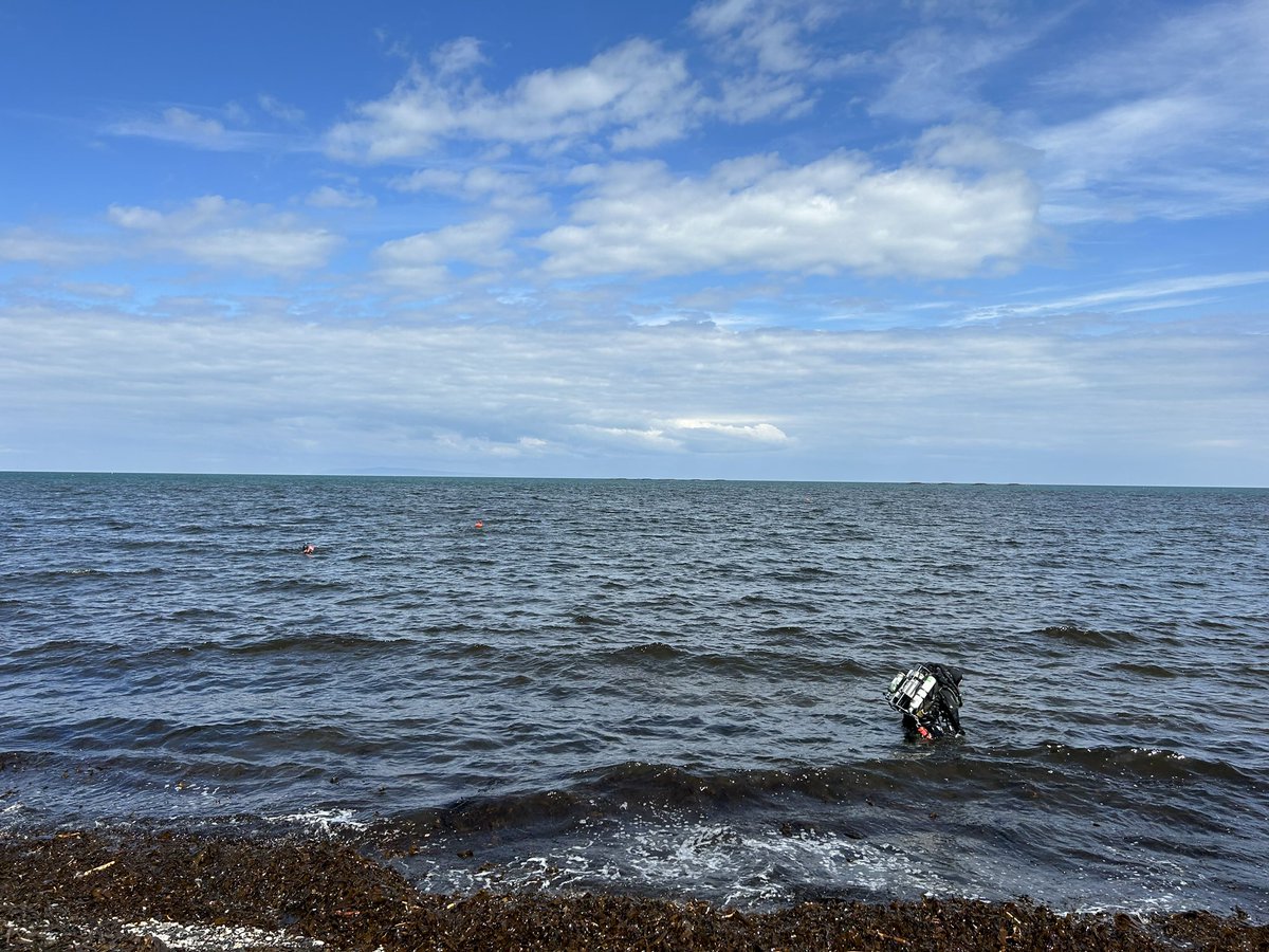 Seasearch NI tweet media