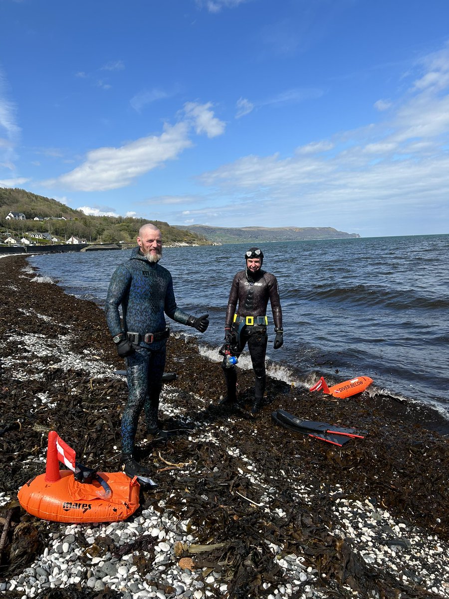 Seasearch NI tweet media