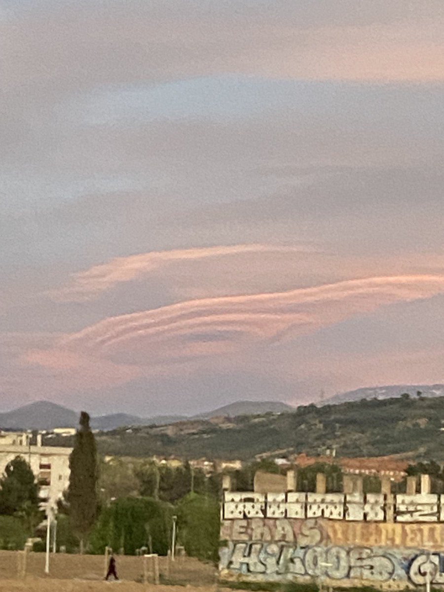 July Nechaeva tweet media