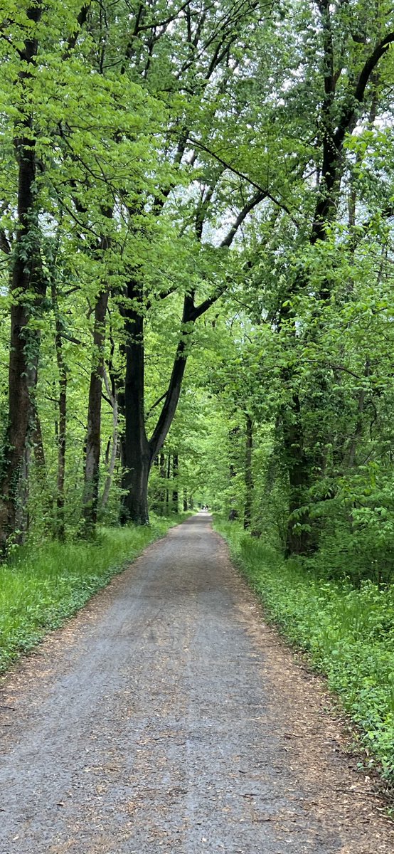 maryjeanschmitt's tweet photo. #EarthDay 2023 @SierraClub #onedayhike https://t.co/FcUVmtvJAd