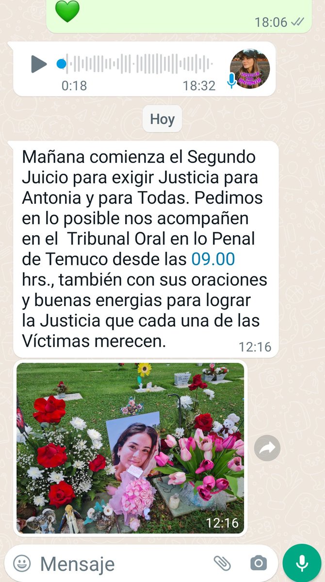 SaryOasis's tweet photo. Acaba de enviarme este mensaje la mamá de #Antonia. Por favor, difundan y mañana acompañemos a la familia, también, a través de redes sociales.

Que no se olvide:

¡Martín Pradenas, EL VIOLADOR ERES TÚ! 

#JusticiaParaAntonia 
#MartinPradenasViolador https://t.co/QJou5UOMc8
