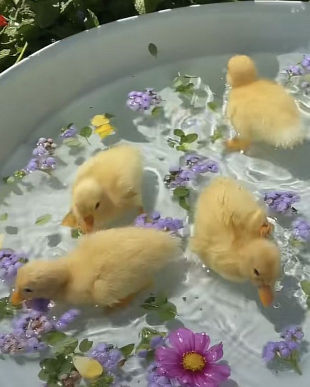 Curated Pieces tweet media